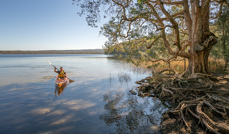 Man rowing at the Myall Lakes National Park