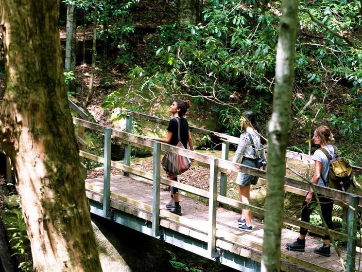 Women walking at the Watagans National Park