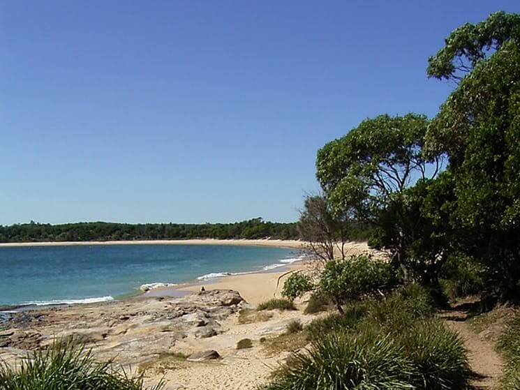 A view of the nature of the Jibbon Beach Bundeena