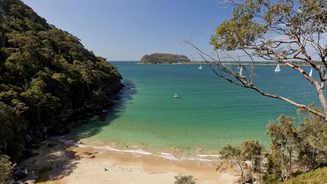 resolute beach sydney 